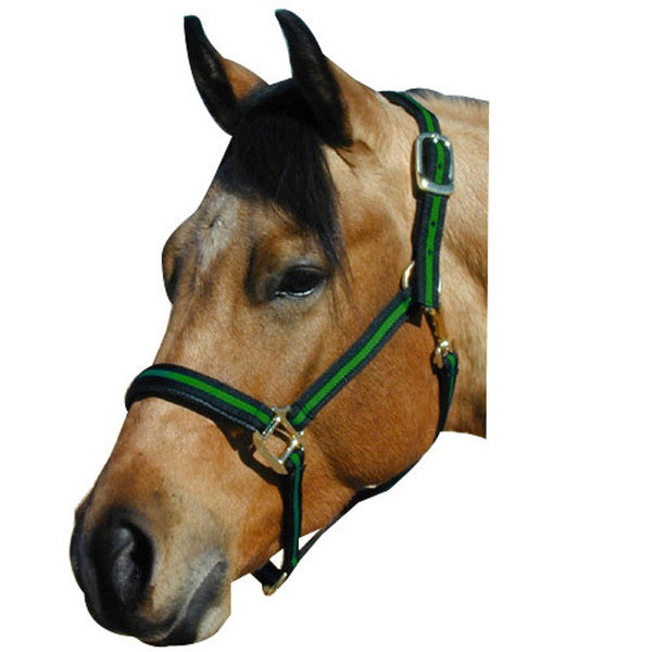 Comfort Padded Halter with Snap Pony Blue