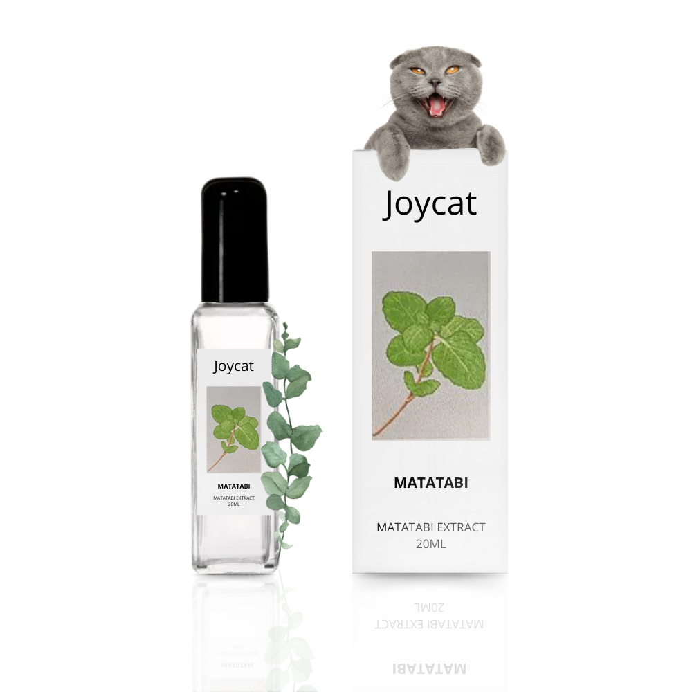 Matatabi Spray | Natural Catnip Alternative for Playful & Active Cats