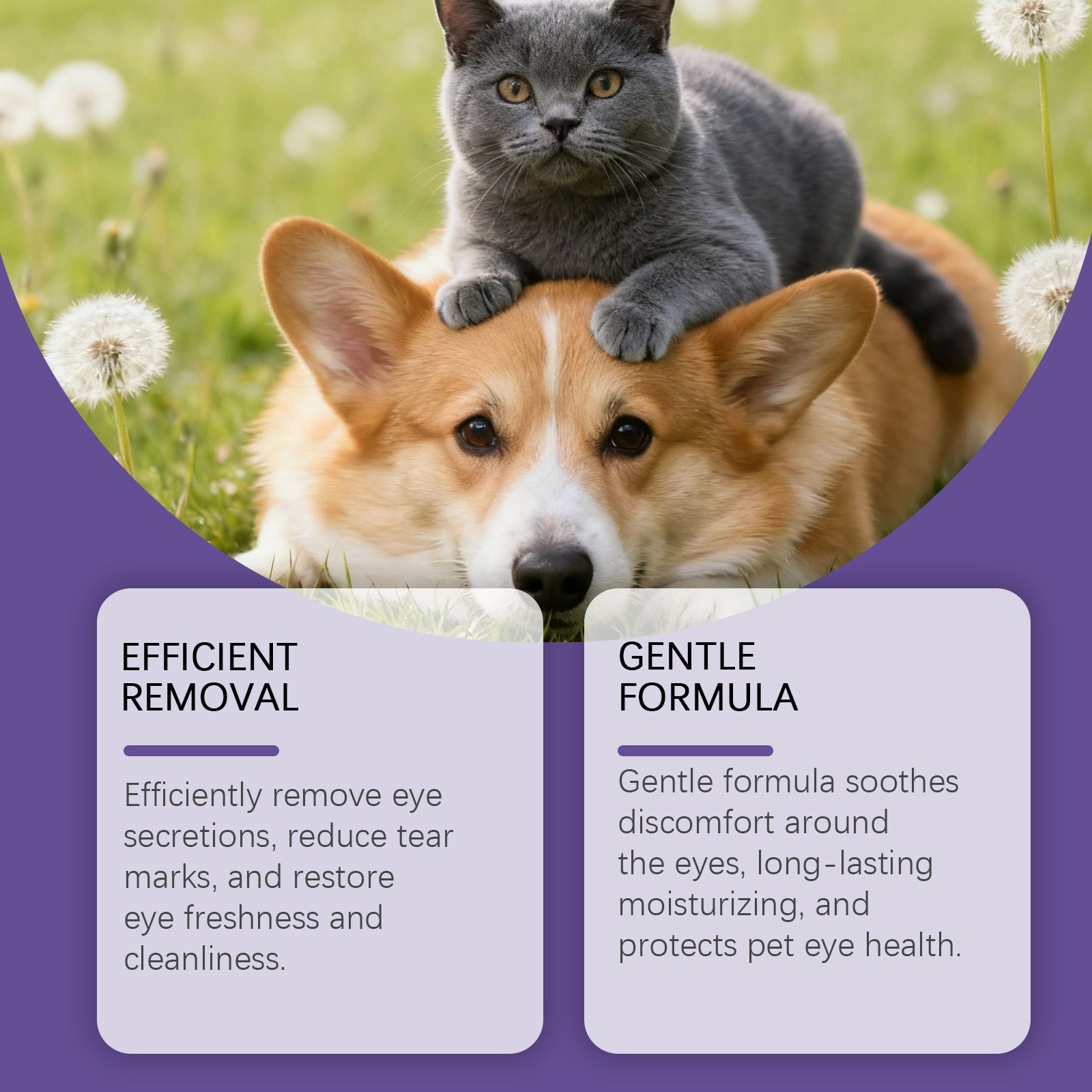 Pet Eye Drops | Eye Care Drops – Clear & Healthy Vision