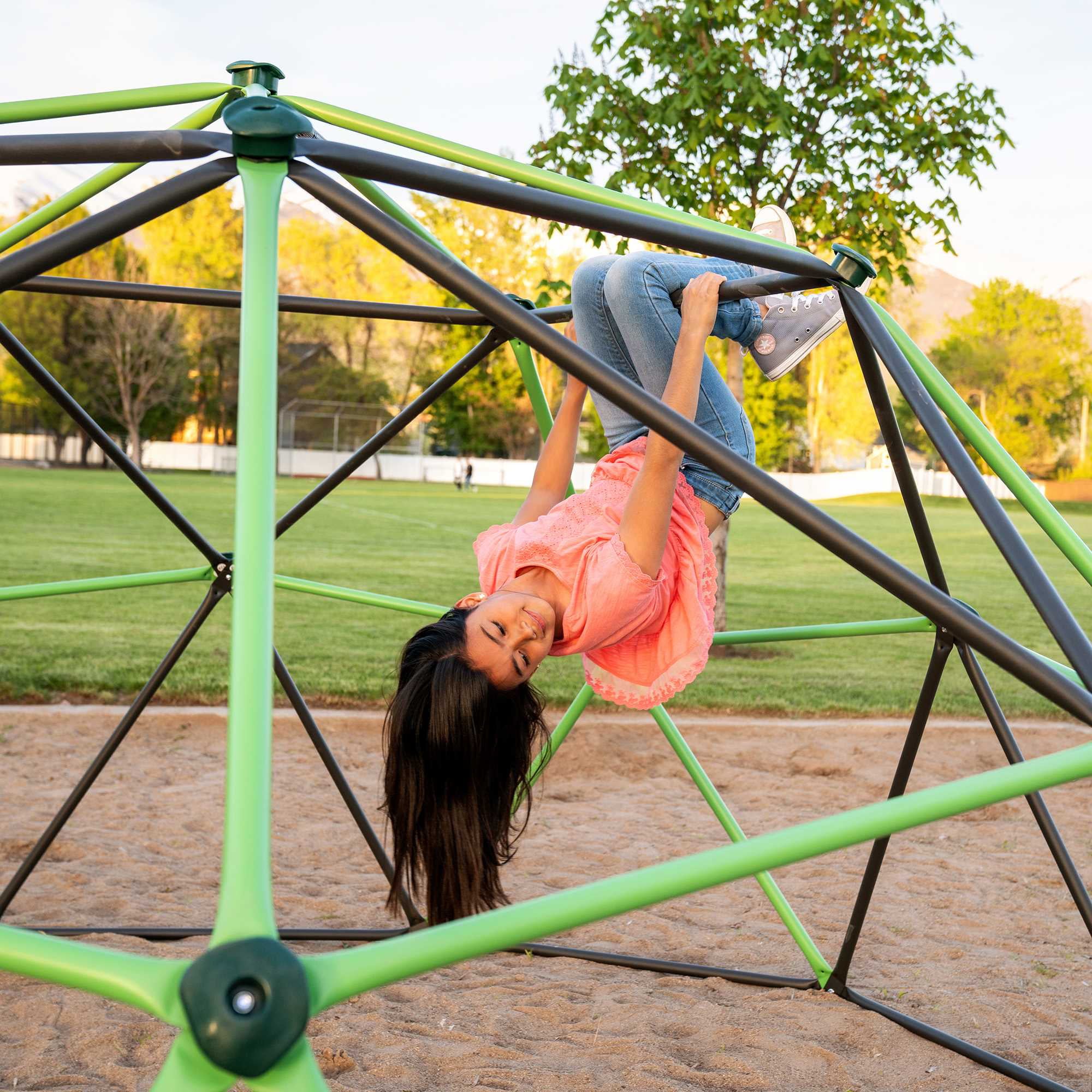 Lifetime 66 inch Steel Playground Climbing Dome， Mantis Green and Bronze (90951)