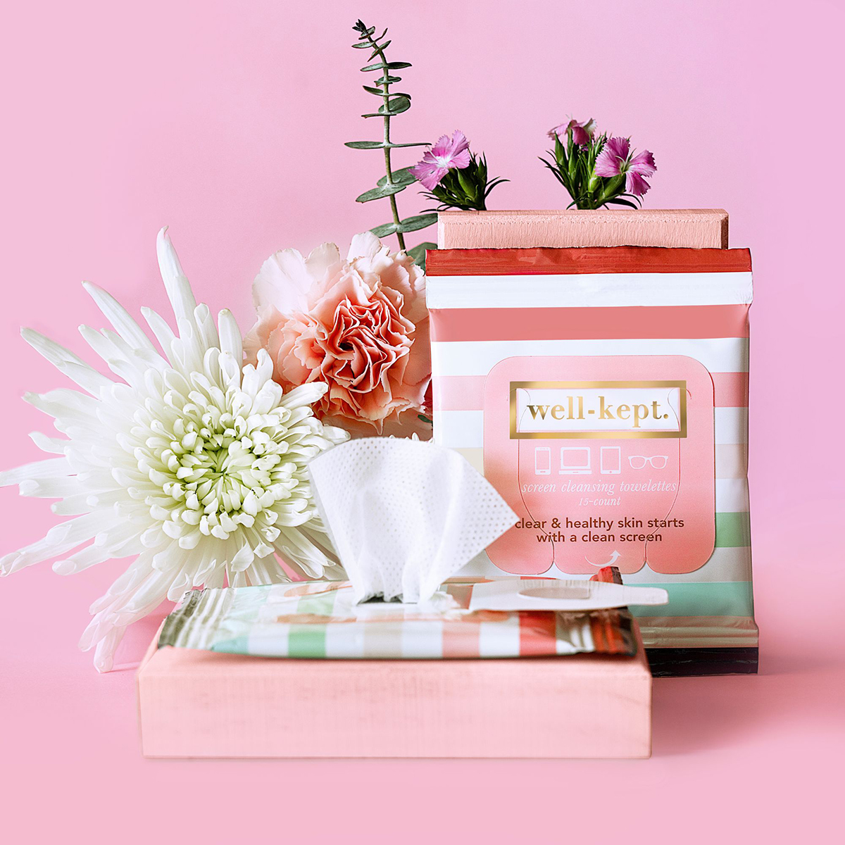 WellKept Screen Cleaning Wipes Pkg15