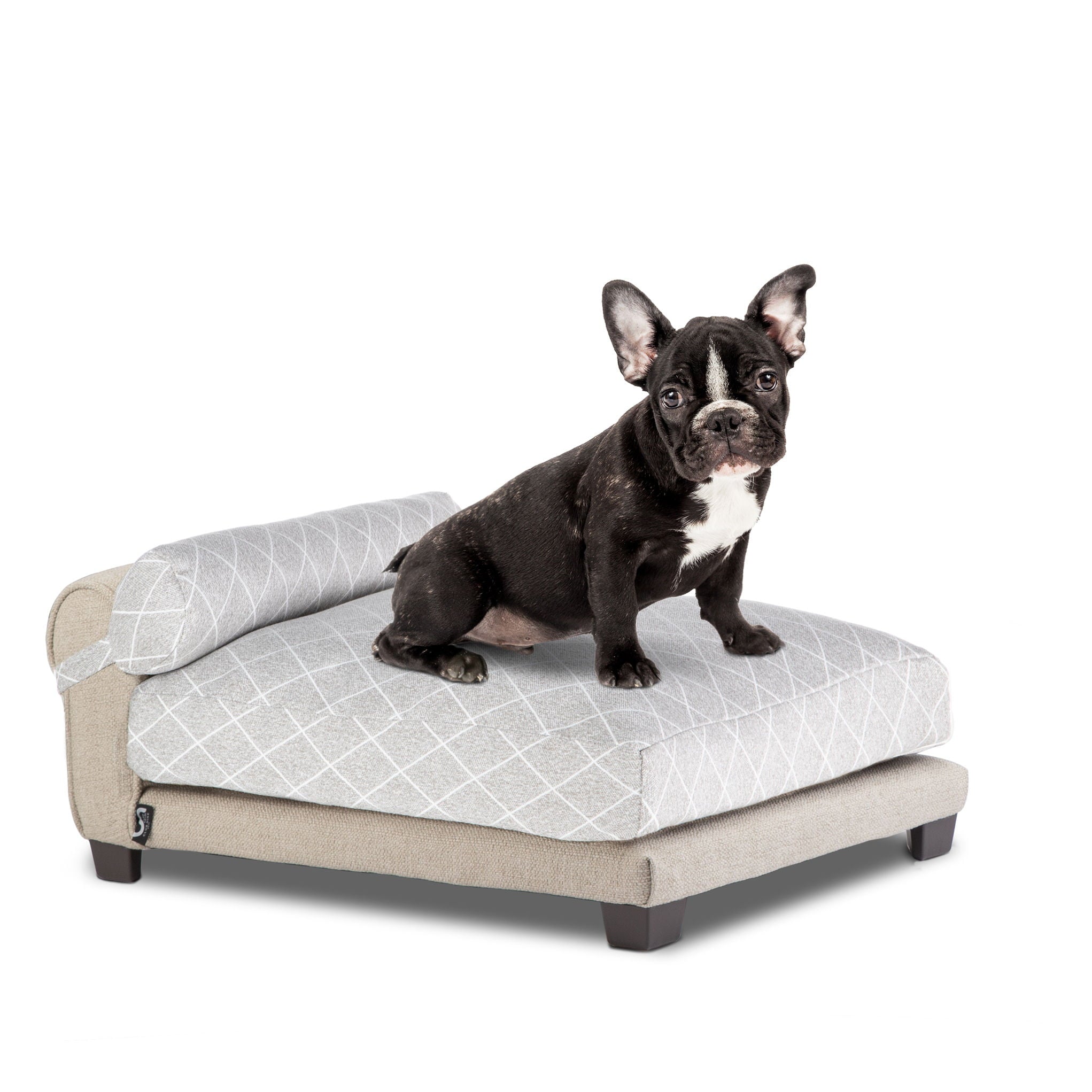 Club Nine Pets Belmont Orthopedic Dog Bed. Large， Tan.