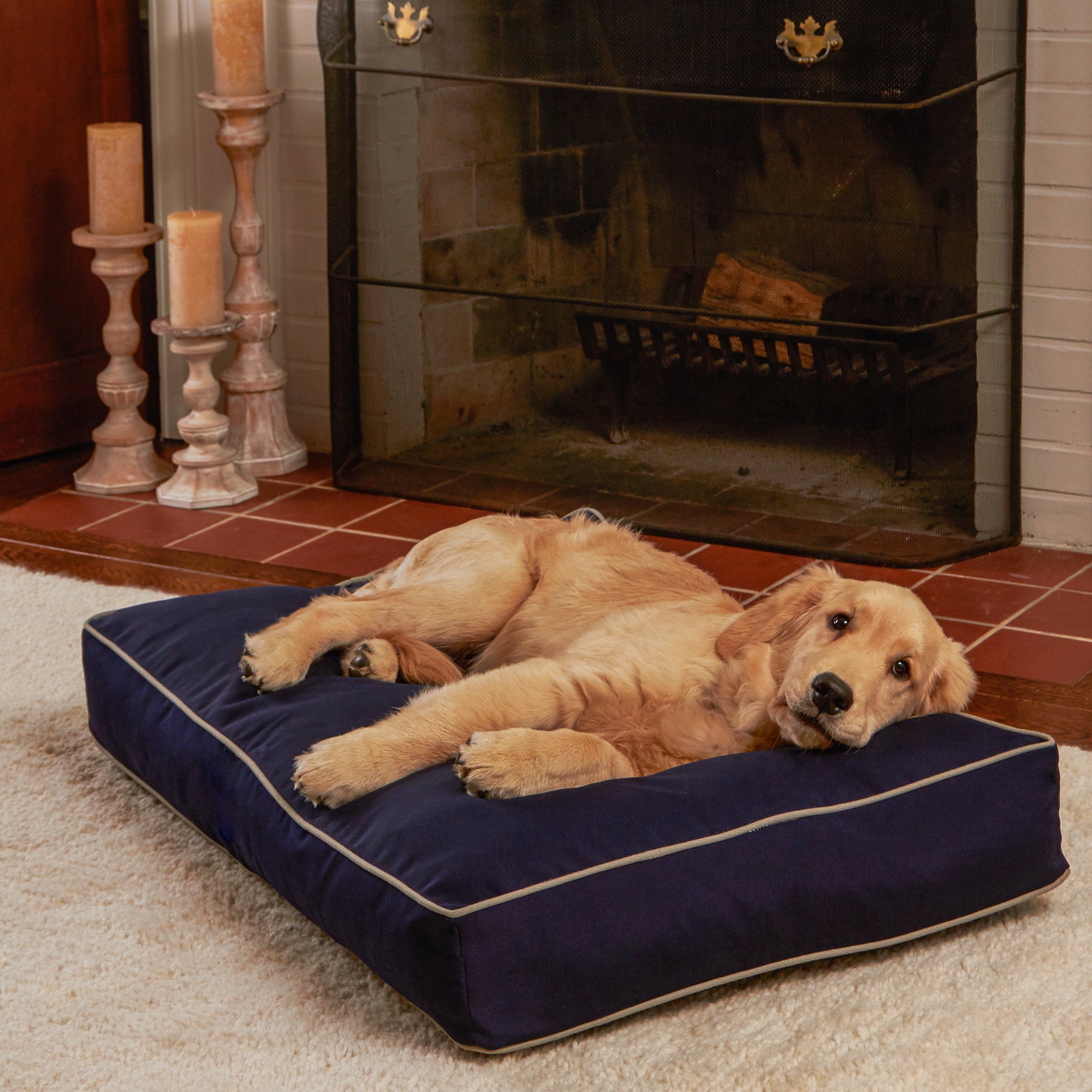 Happy Hounds Casey Indoor/Outdoor Pillow Style Dog Bed， Navy， Small (36 x 24 in.)