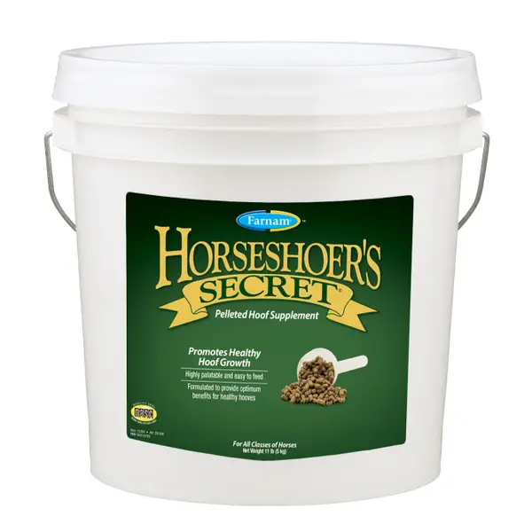 Farnam Horseshoer's Secret