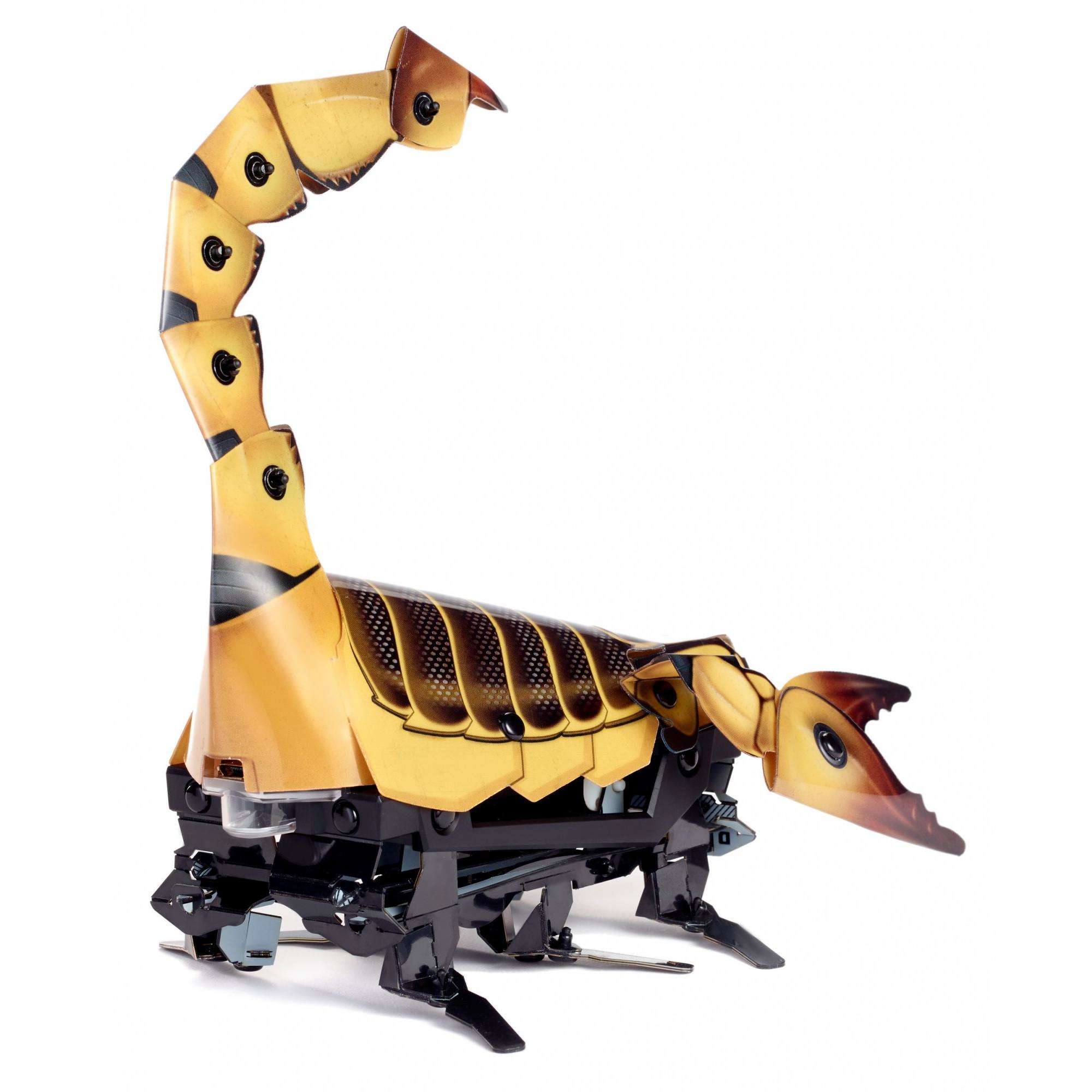 Kamigami Scarrax Battle Robot， Engineering Build Program Play