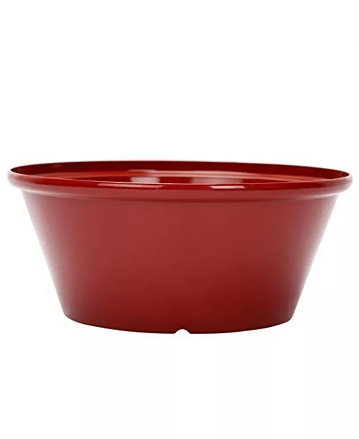 Gardener's Select Gardener Select Tulip Bowl Planter Oxblood， 12 Inch