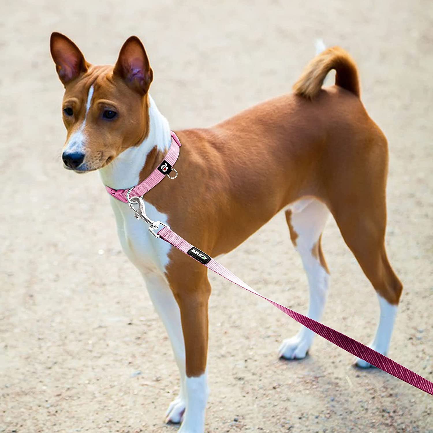 Azuza Dog Collar and Leash Set Nylon Collar Leash for Small Medium and Large Dogs