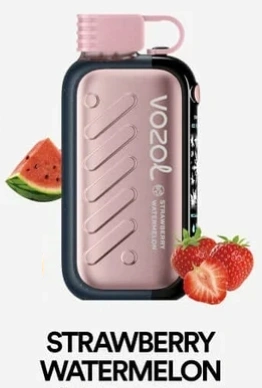🧊VOZOL GEAR ICE&SWEET 50000 Puffs-Disposable Vape with Ice & Sweet Control