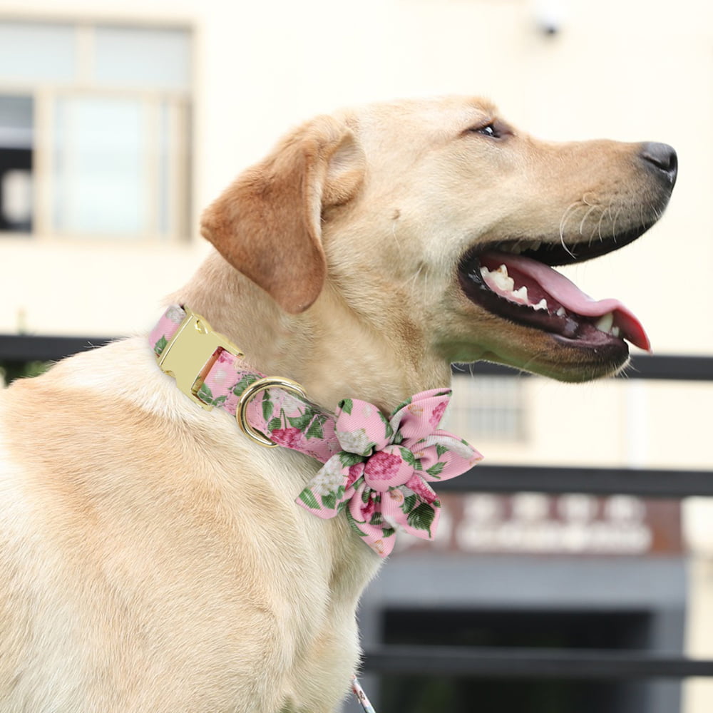 Cute Girl Dog Collars for Small Medium Large Dogs， Floral Pattern Female Pet Dog Collars with Flower for Wedding Holiday