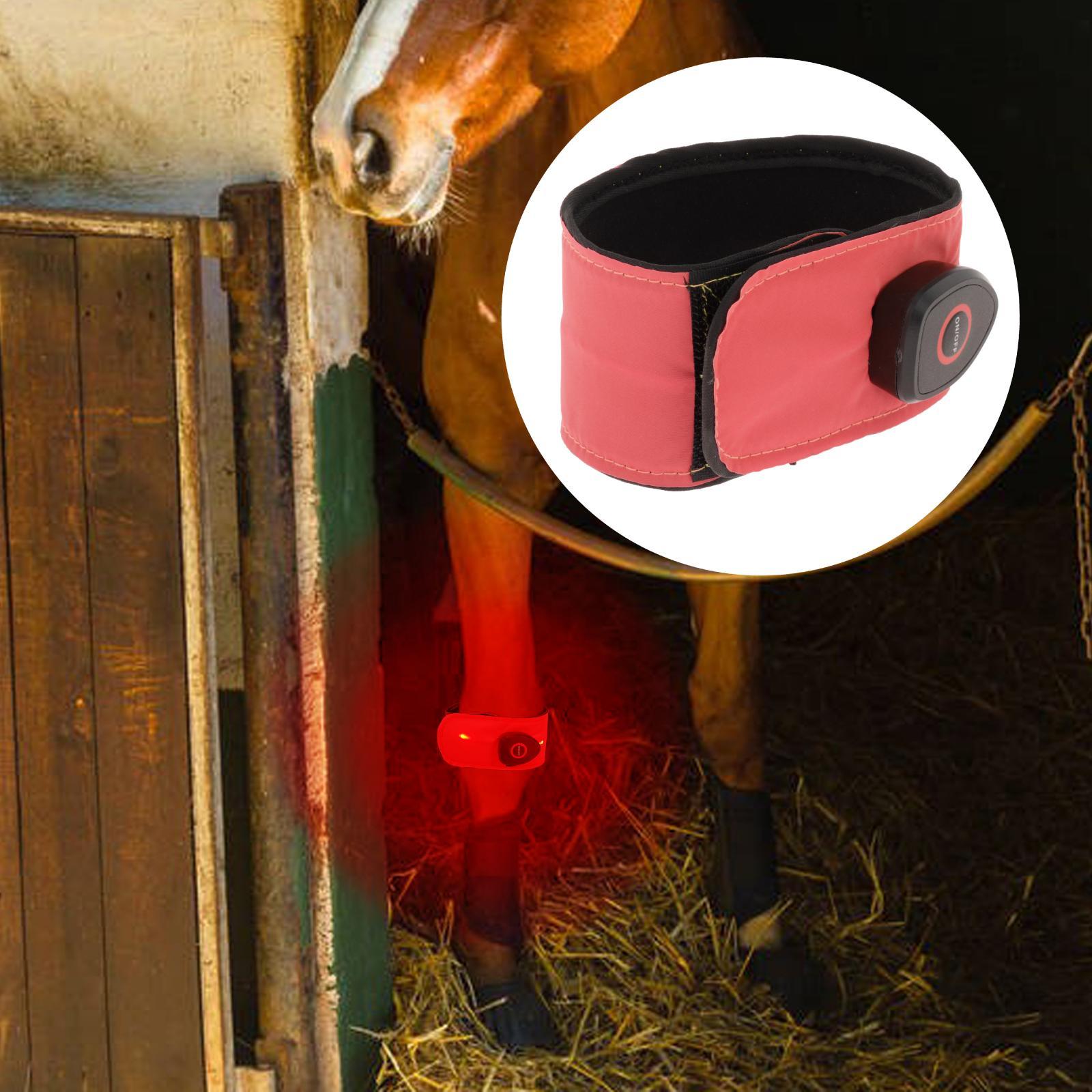 Set of 2 Reflective Horse Ankle Straps Belt Supply for Riding Jumping at Night