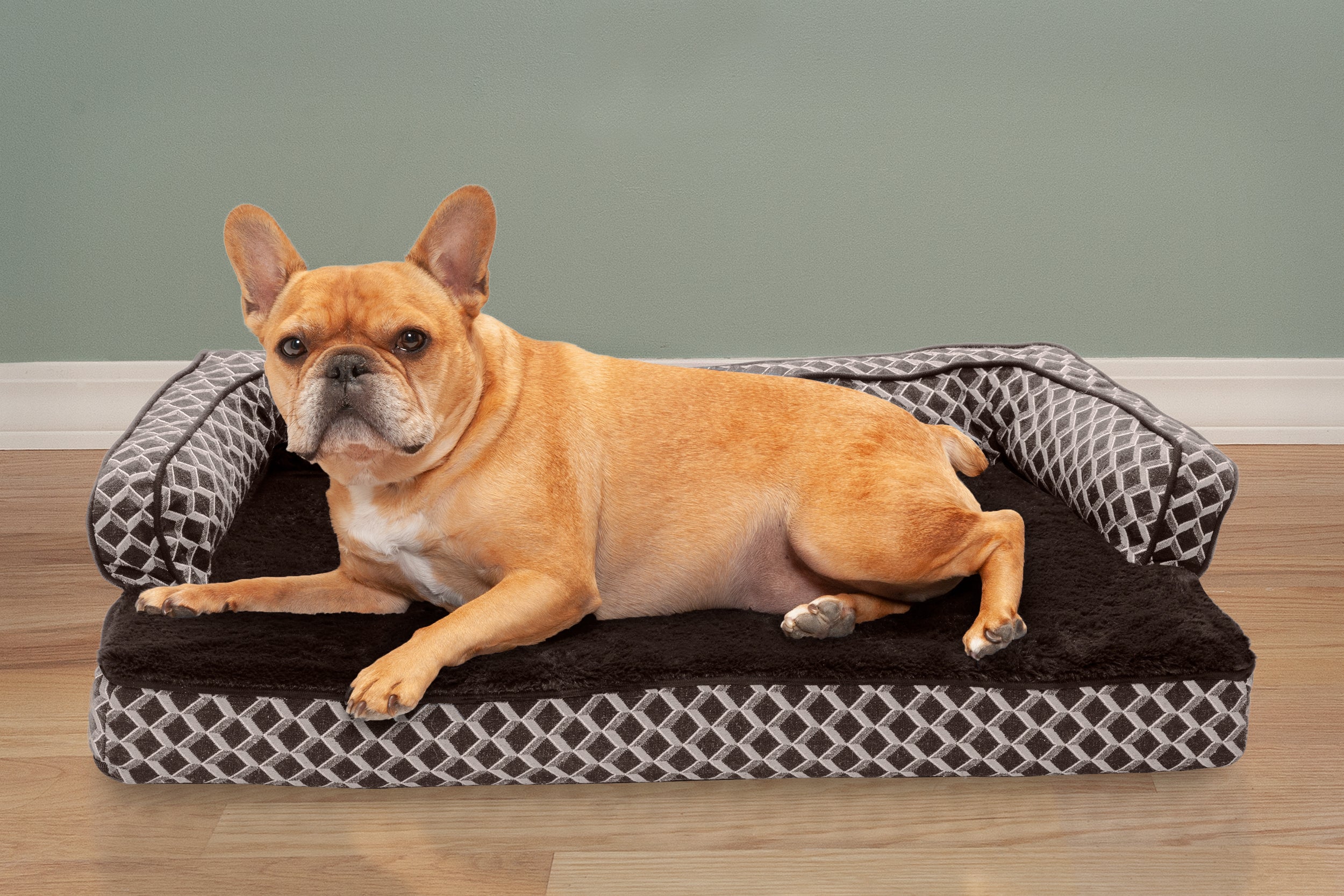 FurHaven Pet Products | Memory Foam Plush and Decor Comfy Couch Sofa-Style Pet Bed for Dogs and Cats， Diamond Brown， Medium