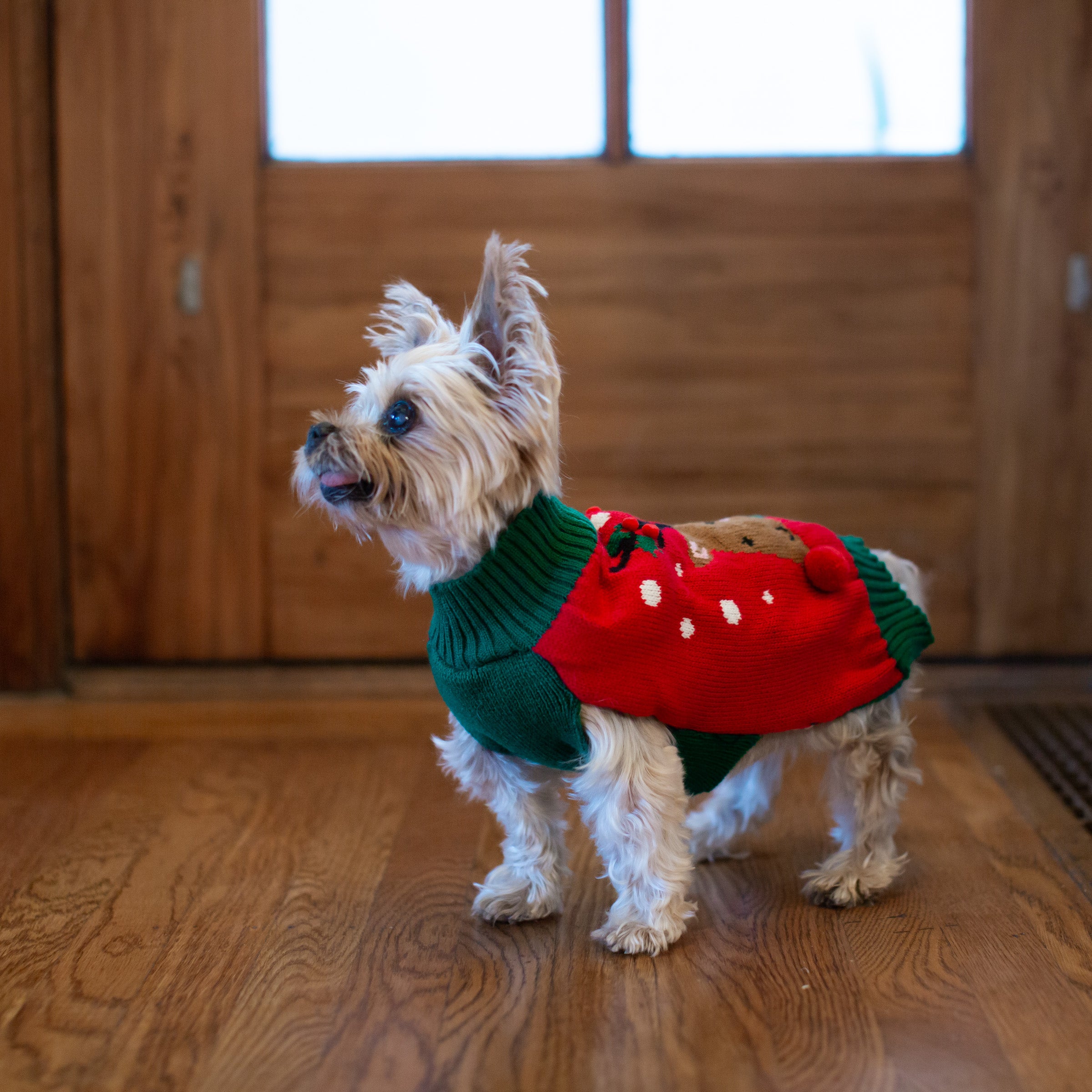 Vibrant Life， Holiday Dog Clothes， Reindeer Dog or Cat Sweater， Red XXS