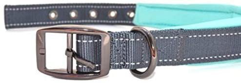 Black Rhino - The Comfort Collar Ultra Soft Neoprene Padded Dog Collar for All Breeds - Heavy Duty Adjustable Reflective Weatherproof (Large， Aqua/Grey)