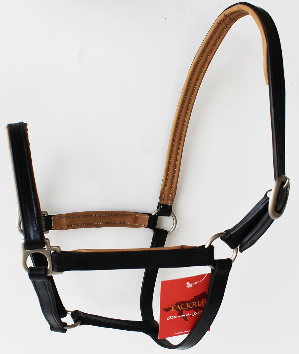 Horse English Padded Leather Western  Show Halter Tan Full 803209TNF