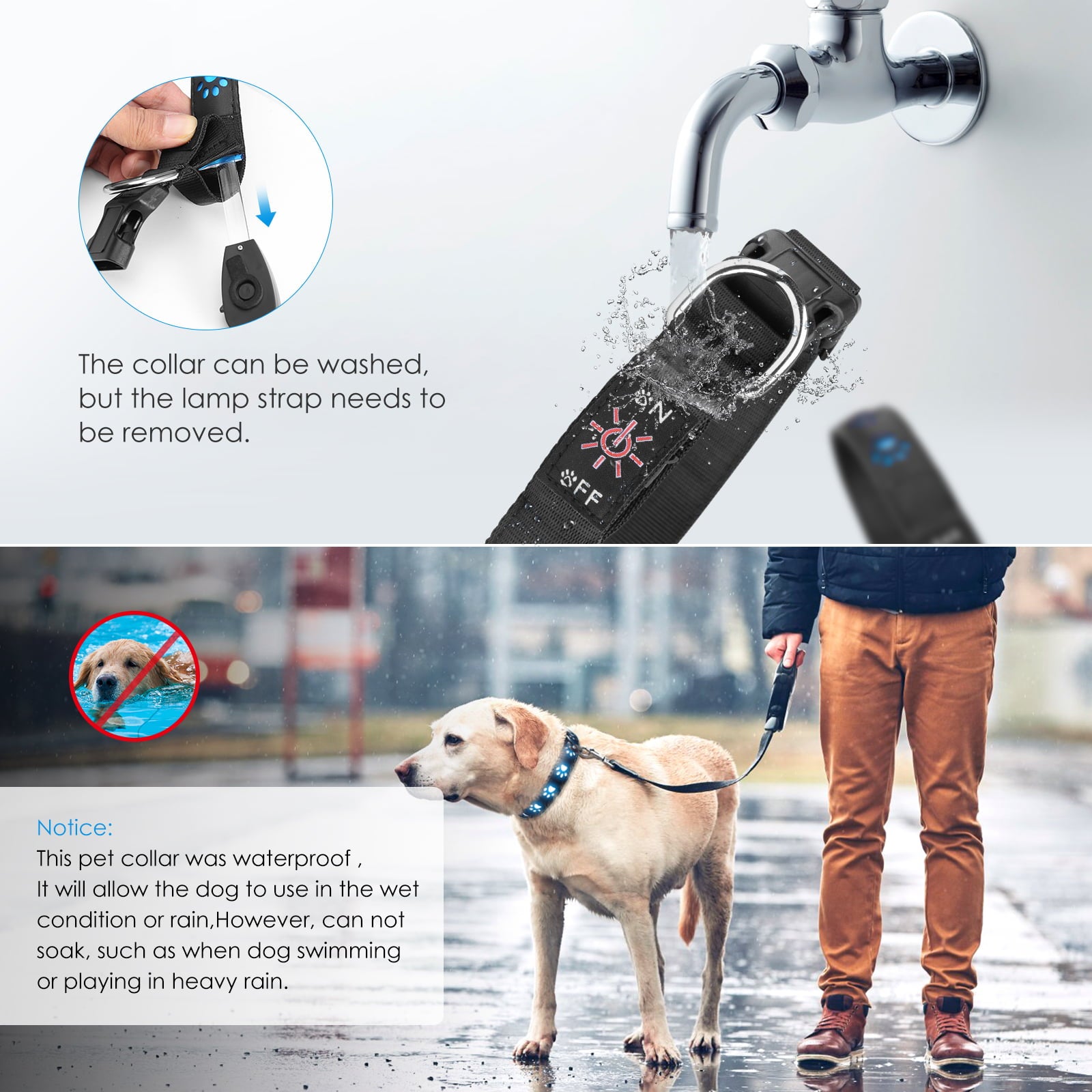 Dog Collar， AMIR LED Dog Collar Rechargeable Light Up Dog Collars Waterproof Dog Collar Dog Necklace for Night Walking Small Medium Large Dogs