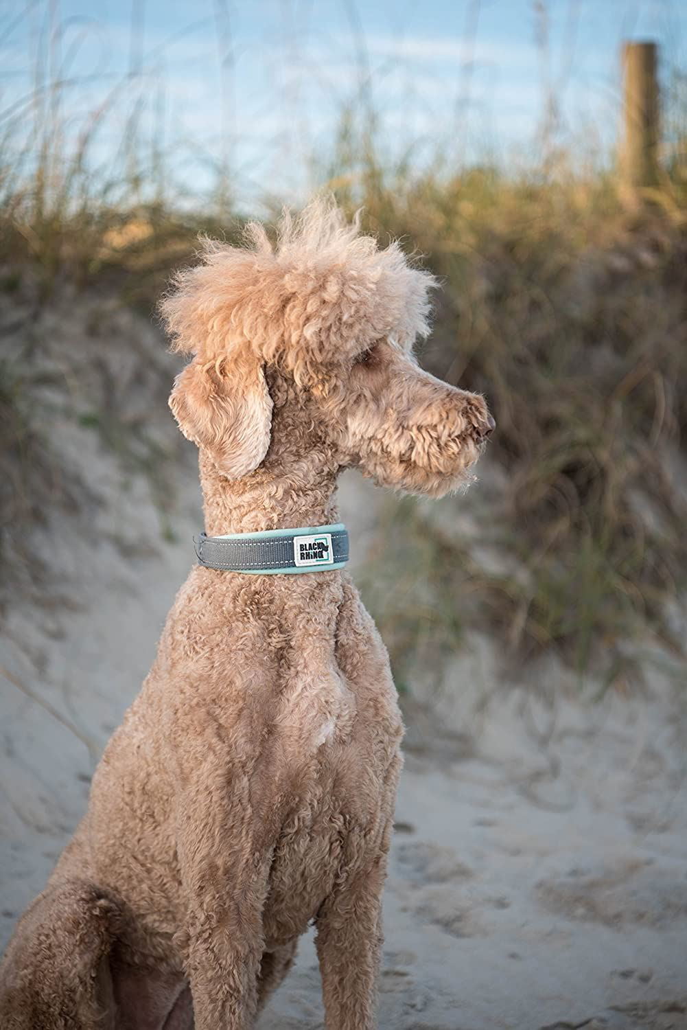 Black Rhino - The Comfort Collar Ultra Soft Neoprene Padded Dog Collar for All Breeds - Heavy Duty Adjustable Reflective Weatherproof (Large， Aqua/Grey)