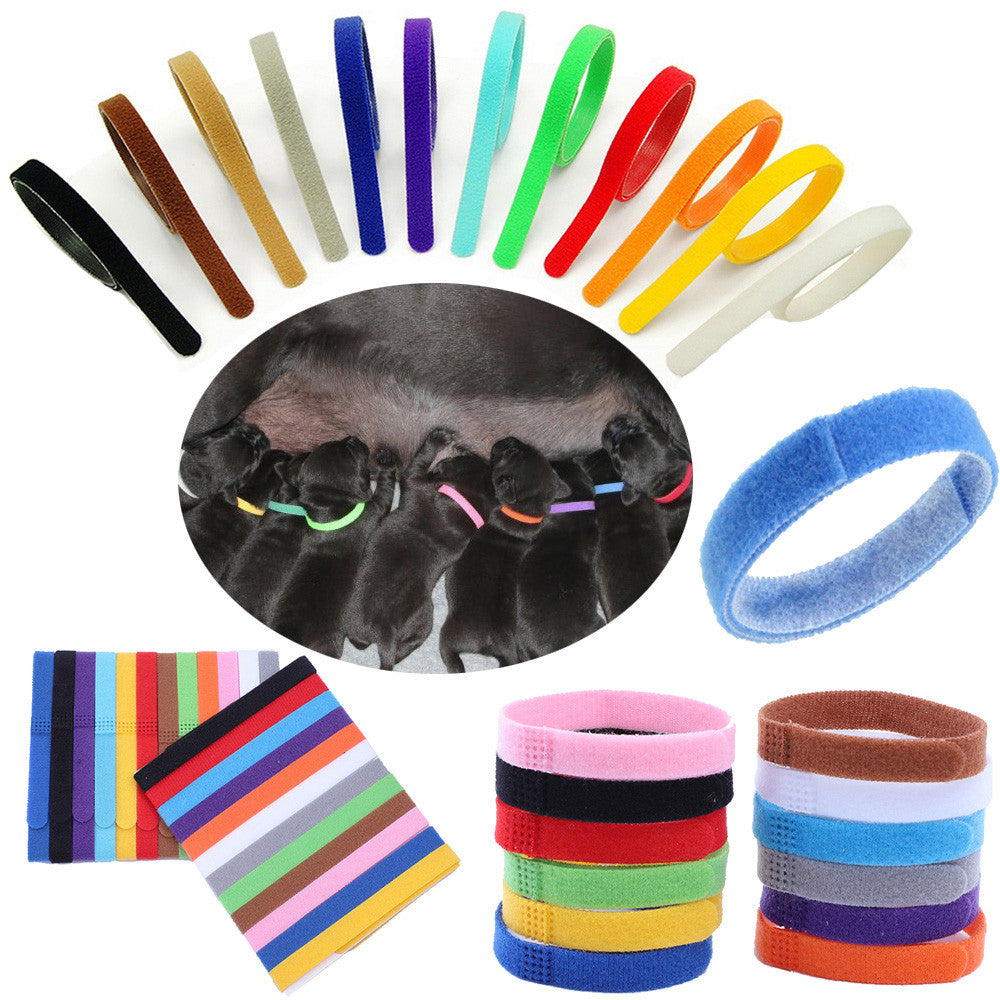 12 Colors Identification ID Collars Bands Whelp Puppy Kitten Dog Pet Cat