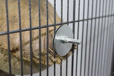 Exotic Nutrition Coconut Hut - Small Animal Cage Accessory - Sugar Gliders， Hamsters， Degus， Chinchillas， Other Small Animals