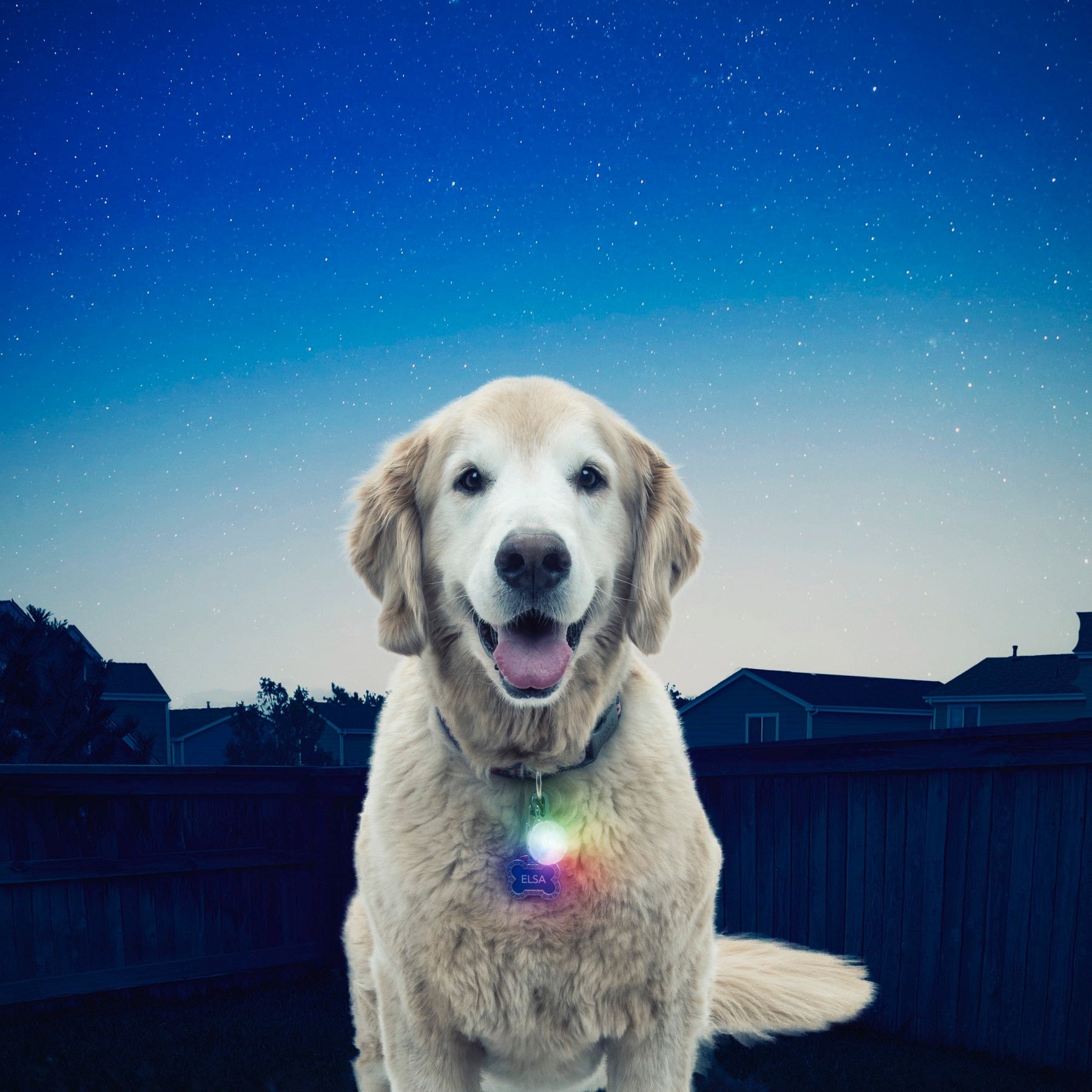 Nite Ize SpotLit LED Dog Collar Light Attachment， High Visibility