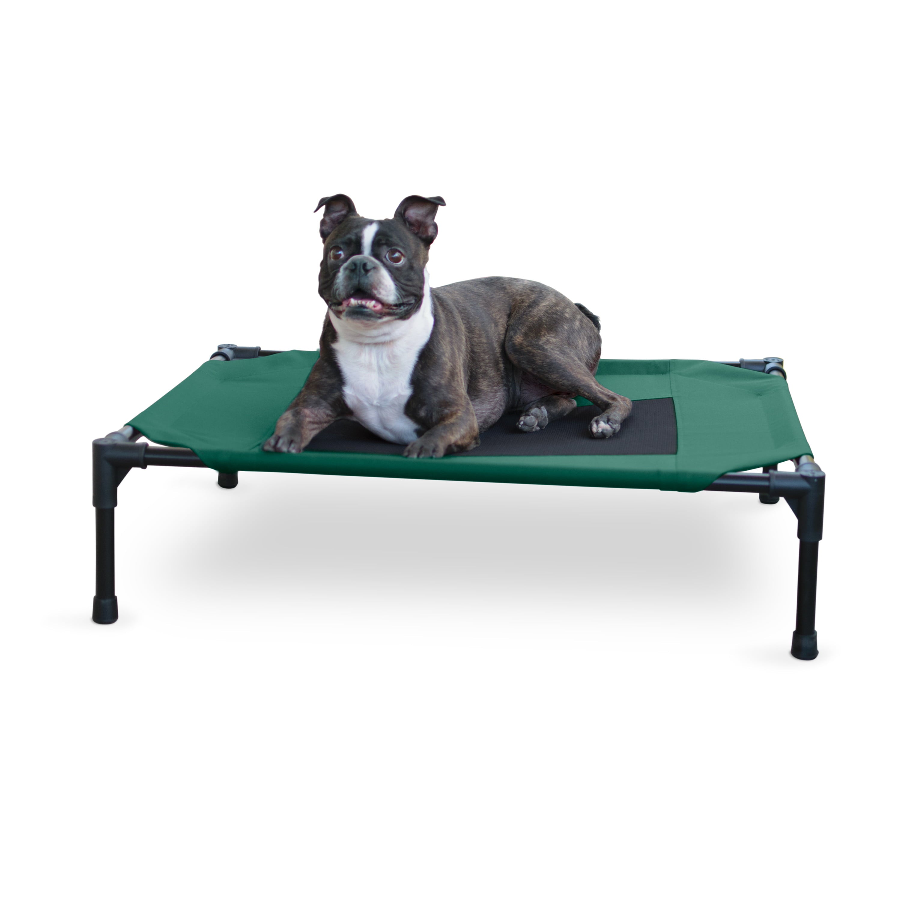 KandH Pet Products Original Pet Cot Elevated Dog Bed Green/Black Medium 25 X 32 X 7 Inches