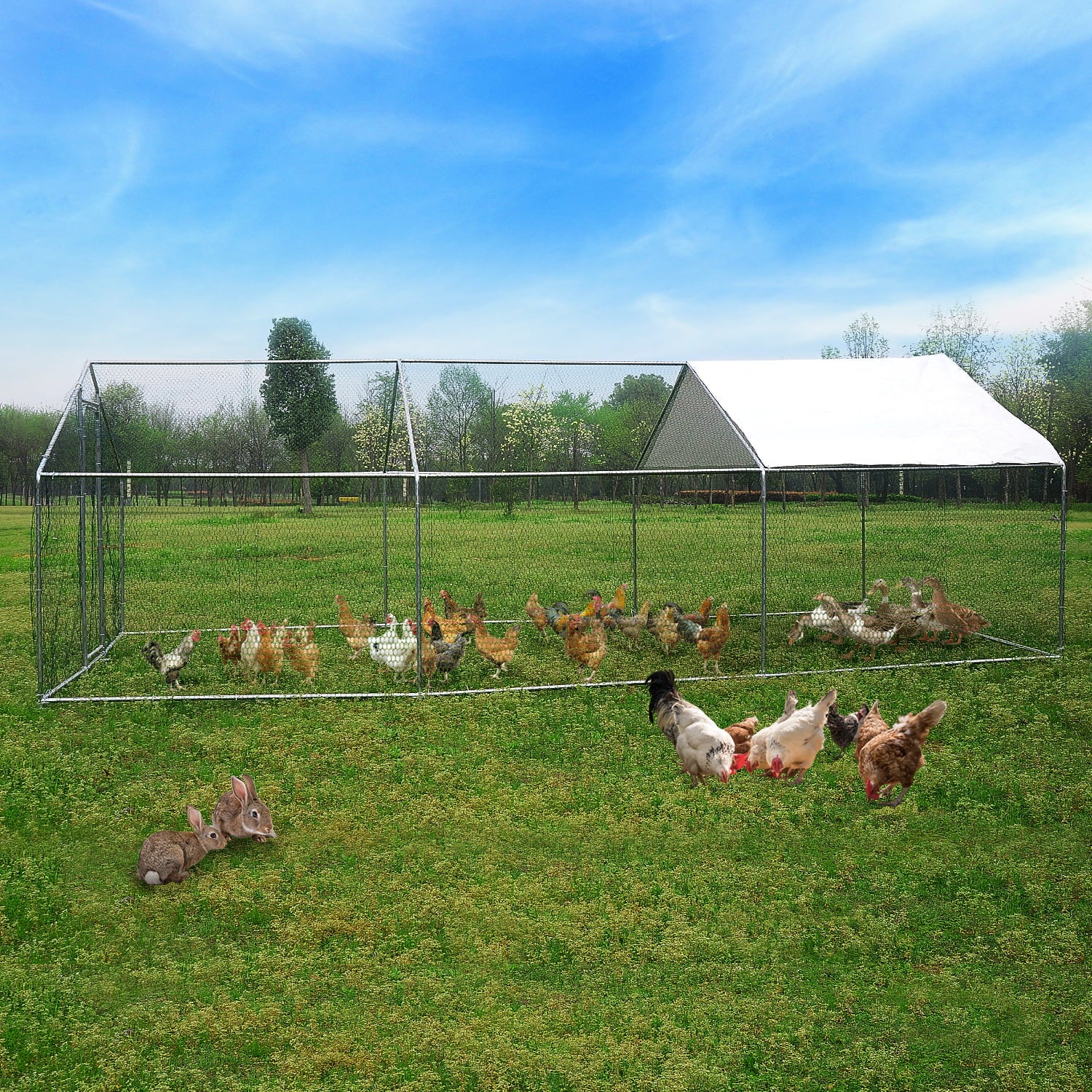 Walsport Large Chicken Coop Pets Cage Pens Creat Fence 20x10 ft Metal Wire Enclosur with Cover Run Backyard Pens