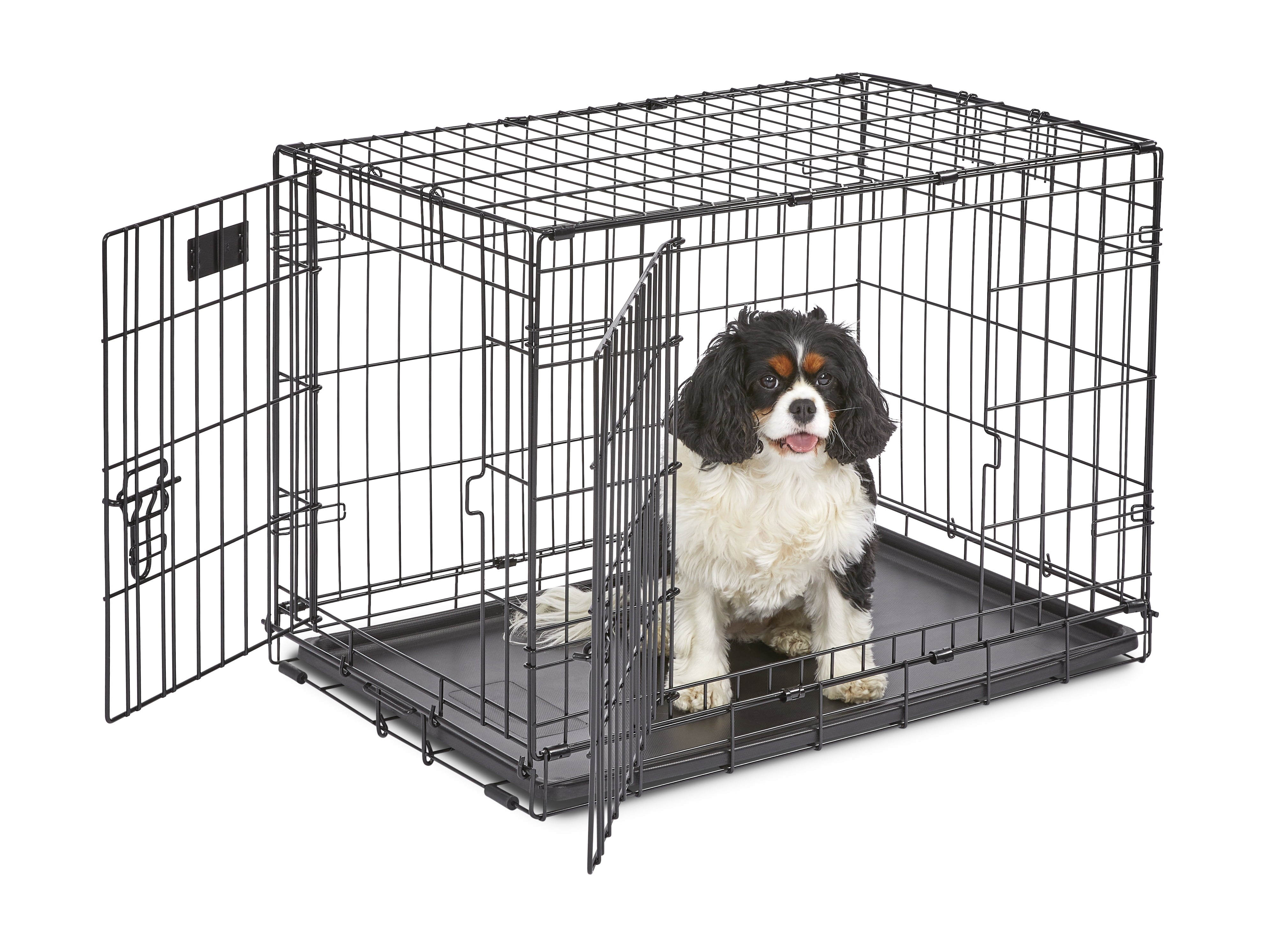 Medium Dog Crate | MidWest iCrate 30