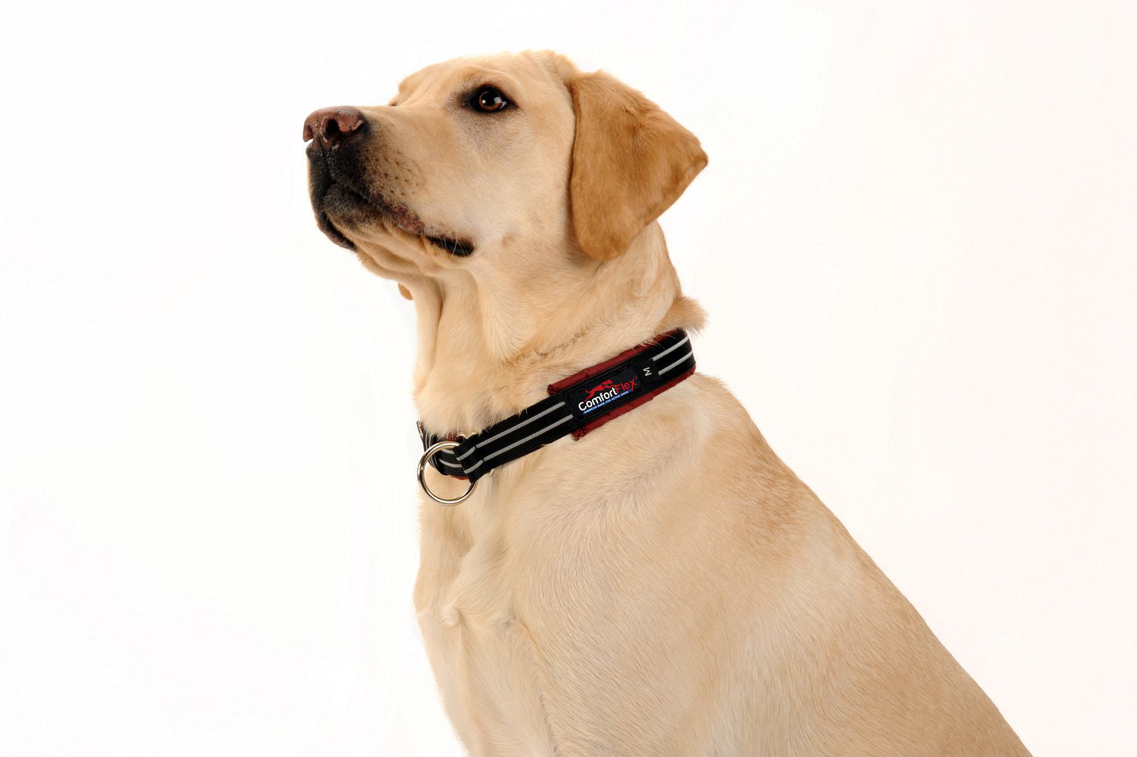 ComfortFlex American Made Fully Padded， Reflective， Adjustable， Flat Nylon， Martingale Type Limited Slip Collar for Active Dogs， Blue Jay， Small