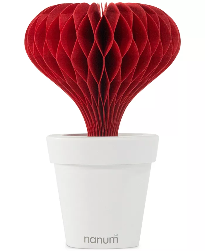 Hitrons Solutions Natural Water Non-Electric Personal Heart Humidifier， Red