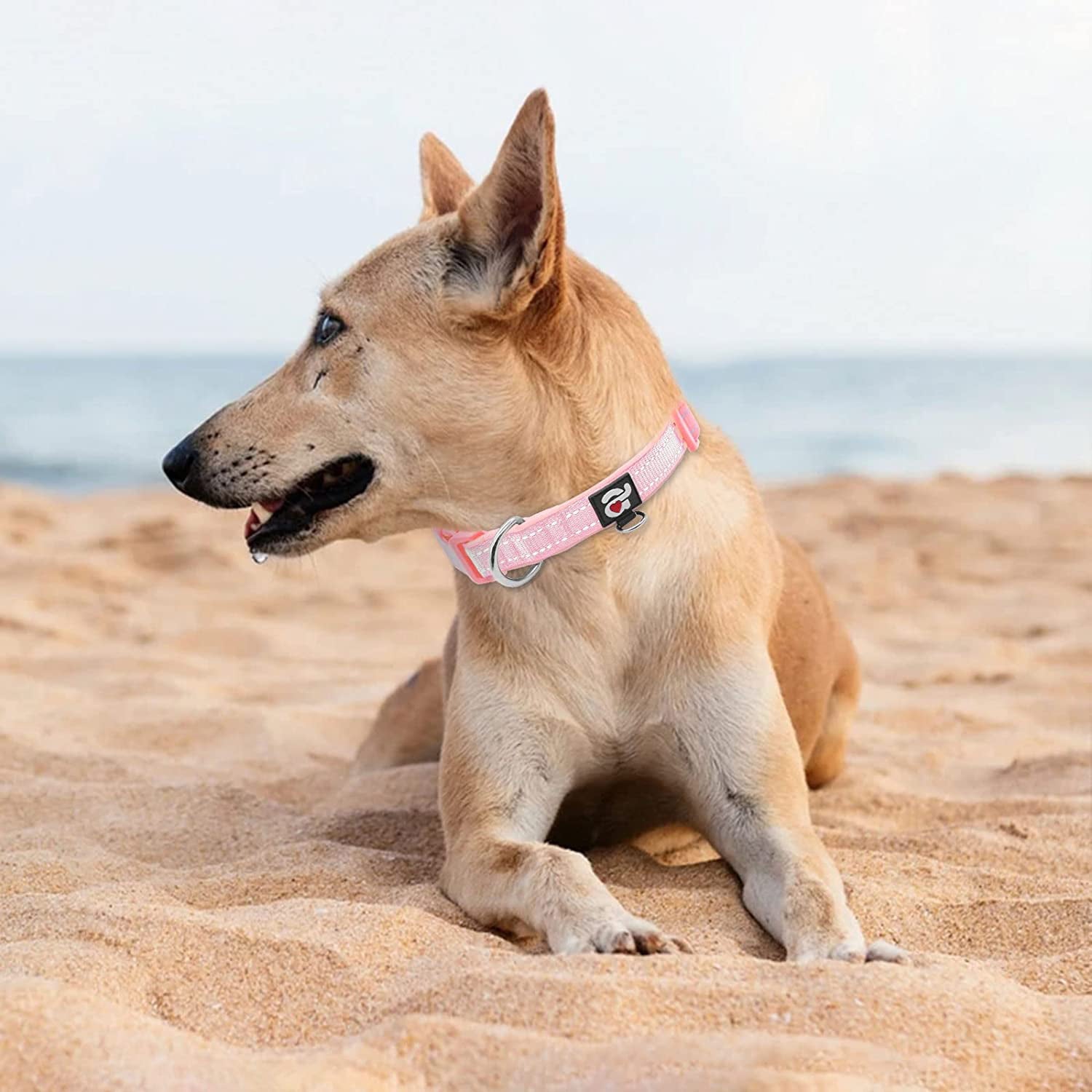 Azuza Reflective Dog Collar Super Soft Neoprene Padded Dog Collars Ring for Small Medium Large Dogs