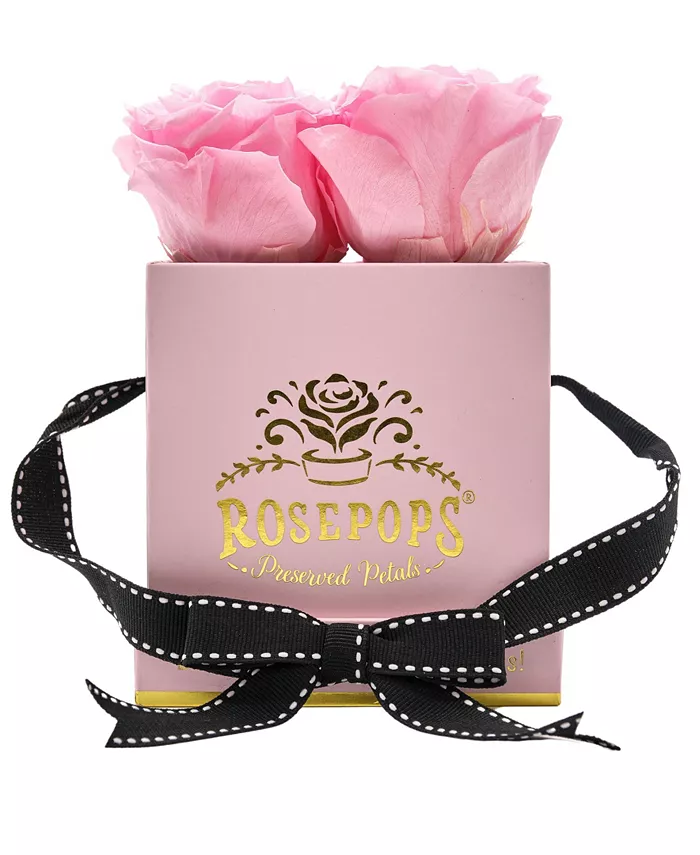 Rosepops Pop-Up Fourget Me Not Cotton Candy Pink Real Roses， Box of 4
