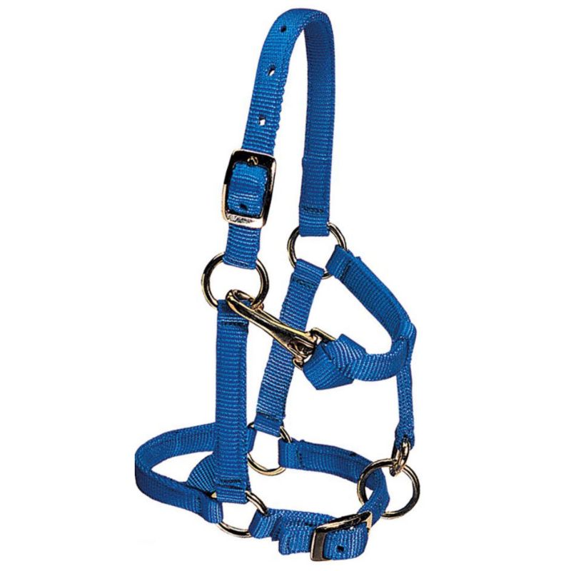 Weaver Mini Adj Nylon Halter Brass Avg Mini Blue