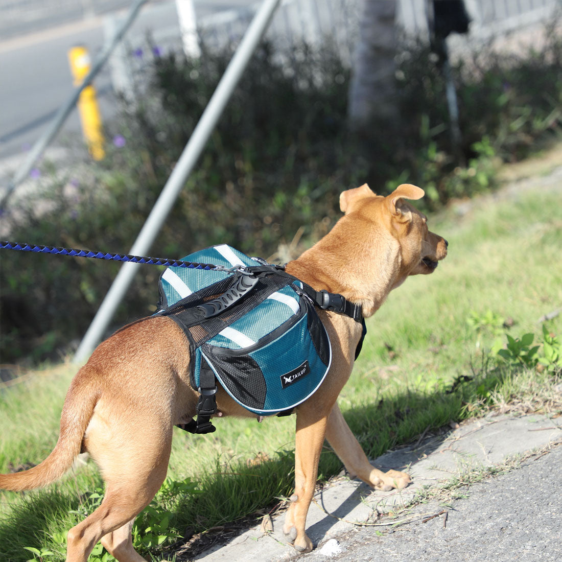 Unique Bargains Dog Pet Backpack Carrier Saddle Bag Outdoor Blue L