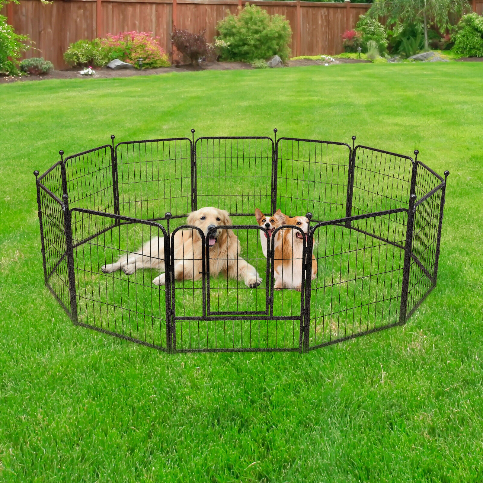 FETCOI 12Pcs Dog Playpen Panels Pet Playpen Puppy Dog Iron Fences Gate Playpen Black