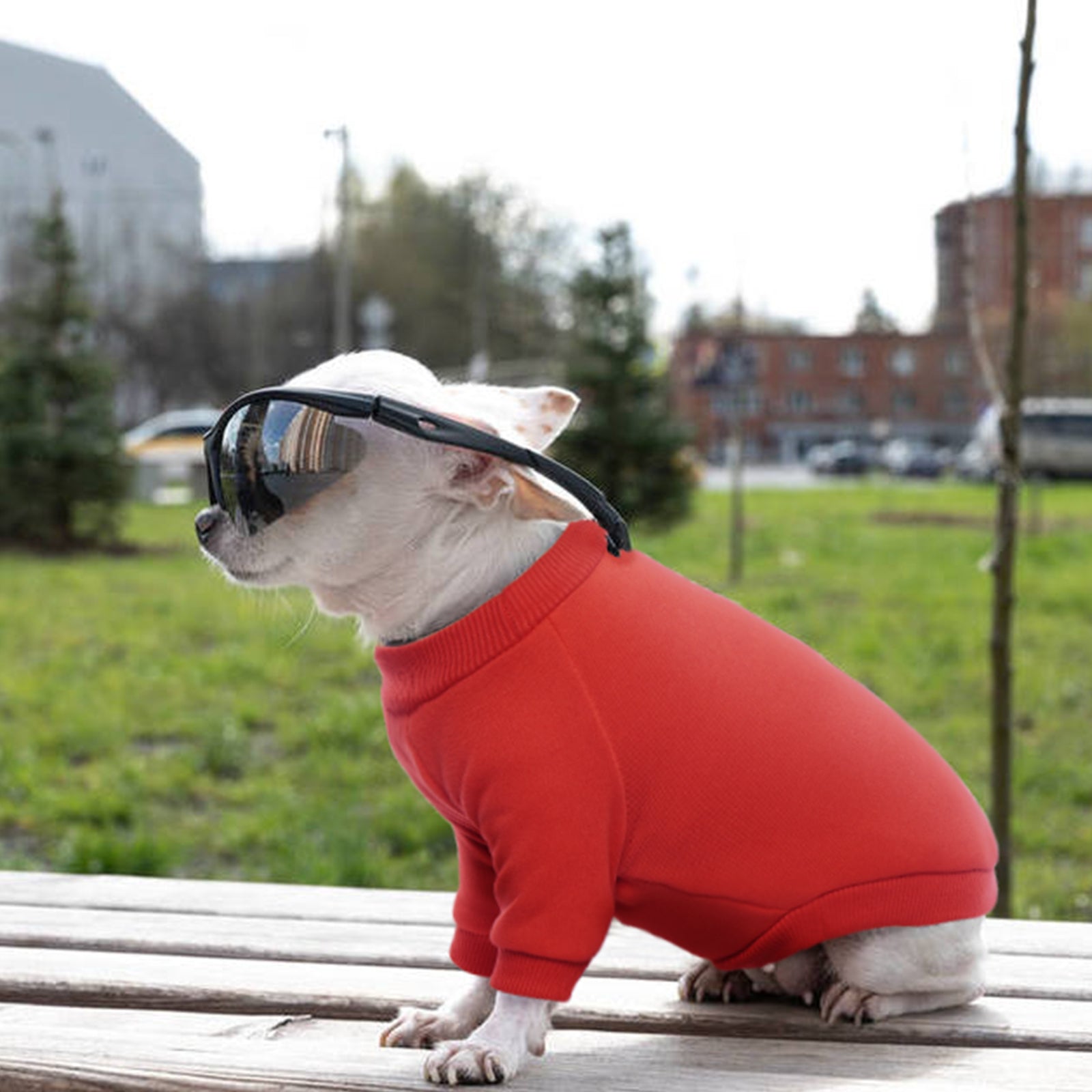 ROZKITCH Basic Dog Cat Hoodie Dog Winter Coat， Cold Weather Clothes Soft Warm Dog Sweater Basic Pet Clothes Hoodies for Small Medium Large Dogs