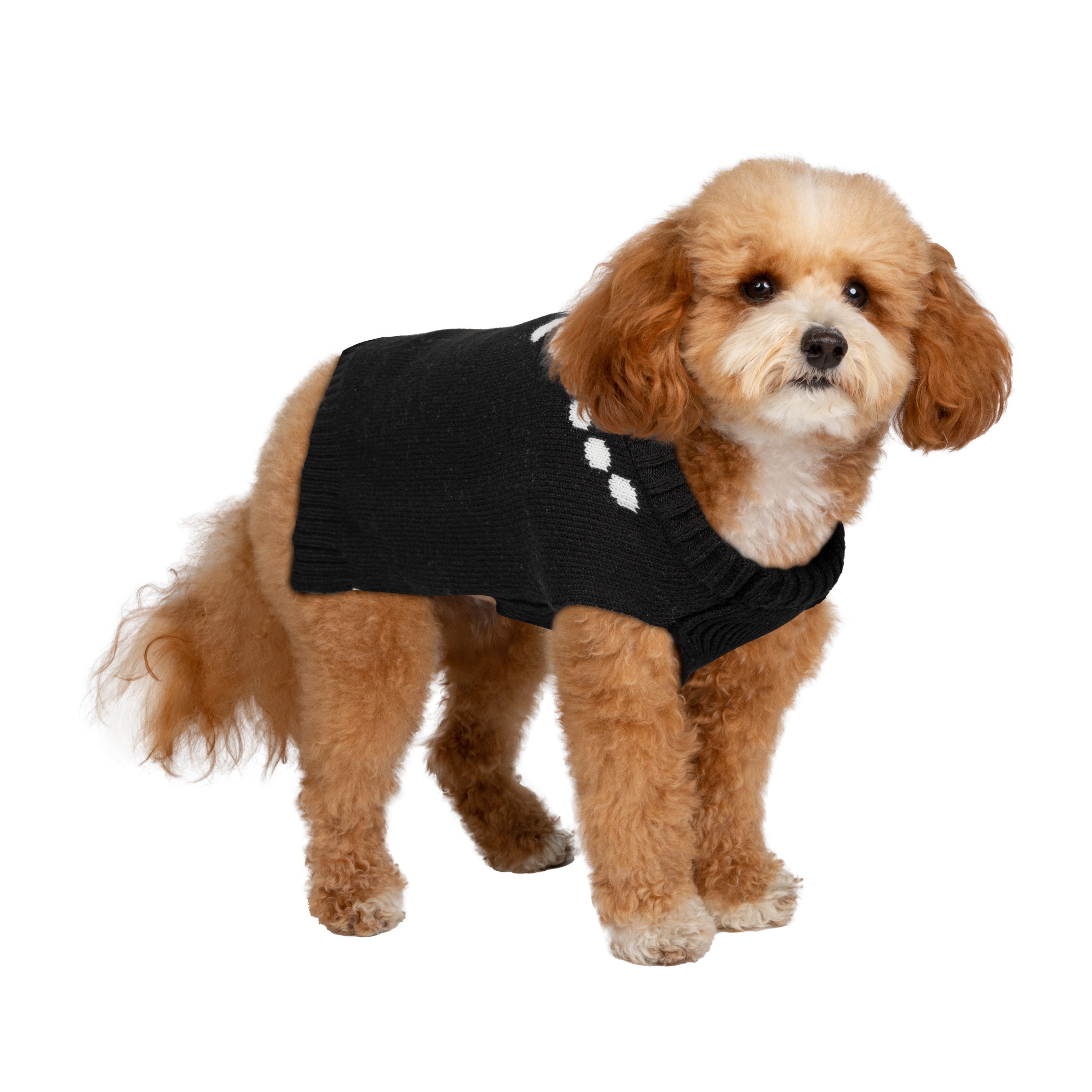 Christian Siriano， Dog Clothes， Bow Necklace Dog or Cat Sweater， Black， XS