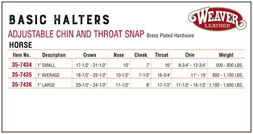 Weaver Leather Basic Adjustable Nylon Halter， Hunter Green， 1