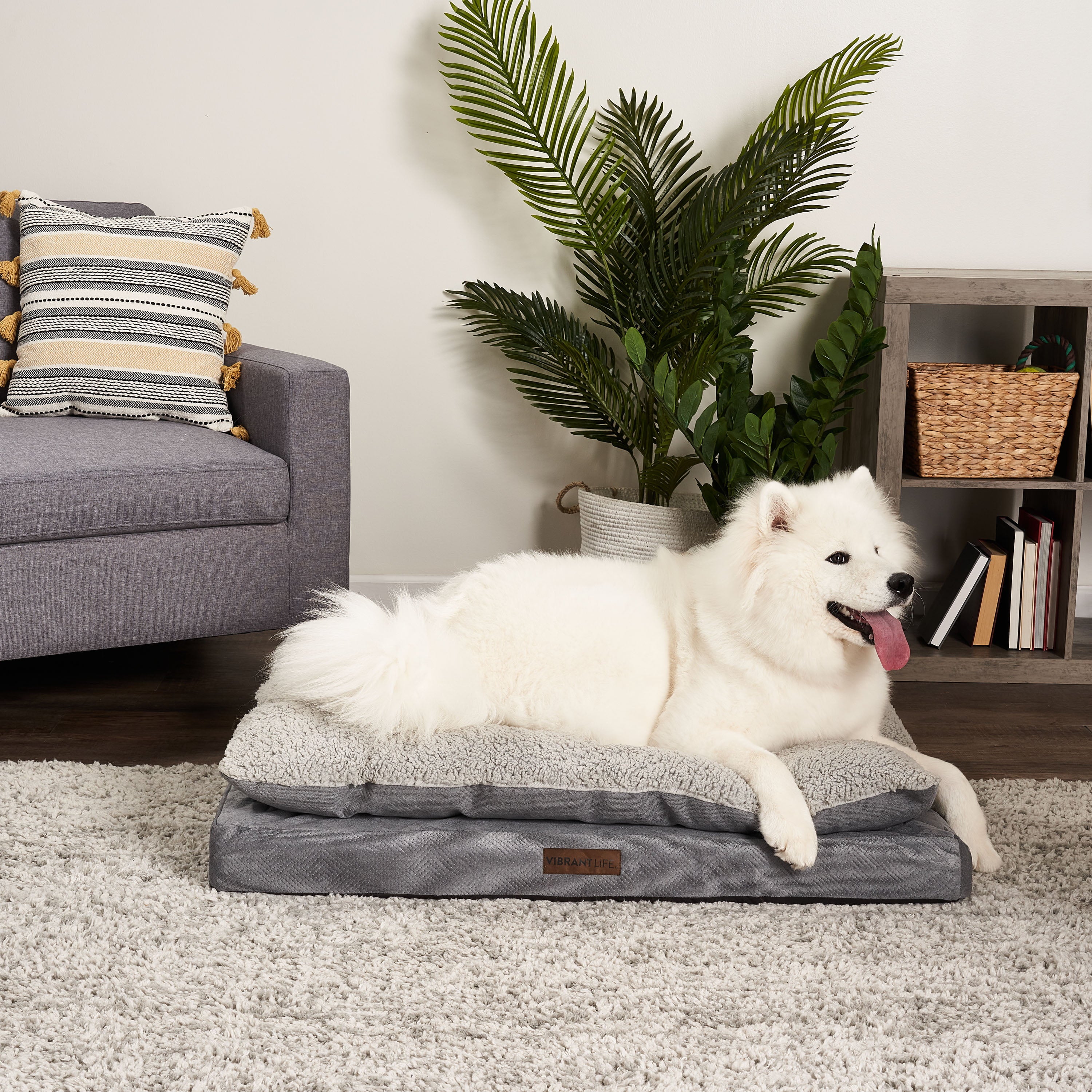 Vibrant Life Large Quilted Orthopedic Pillow Top Dog Bed， Gray
