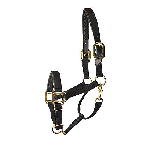 Gatsby Prem Nylon Padded Halter Cob Black