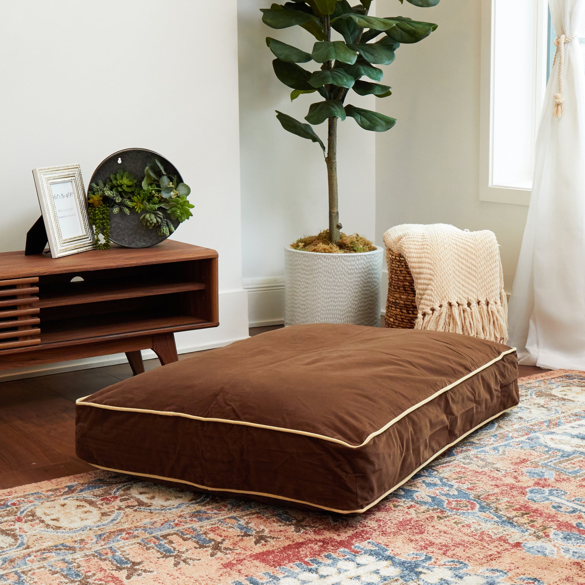 Happy Hounds Buster Rectangle Pillow Style Dog Bed， Cocoa， Medium (42 x 30 in.)