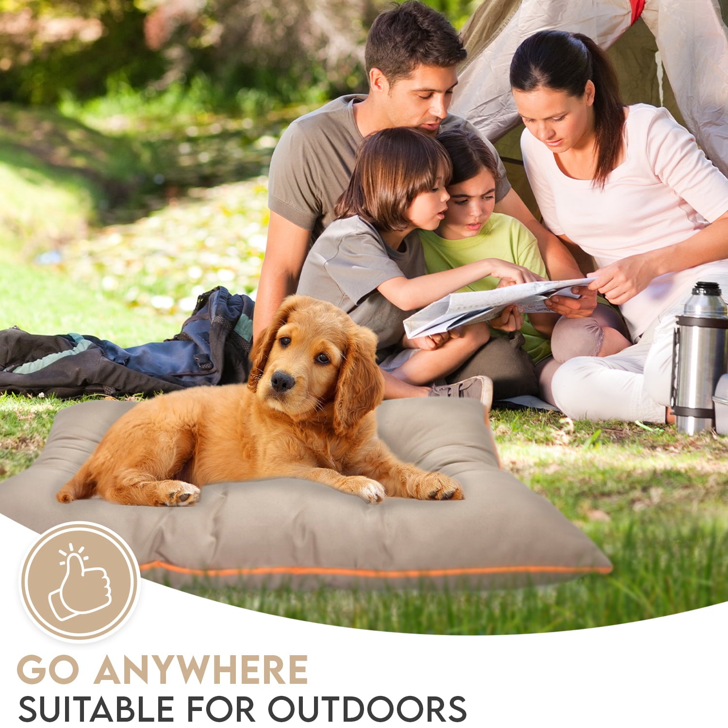 Precious Tails Co-Pilot Waterproof Dog Bed， Grey， Small， 30