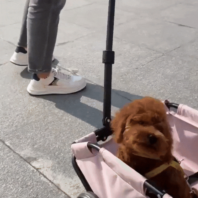 Foldable Pet Wagon | Compact Pull Cart for Small Dogs and Cats