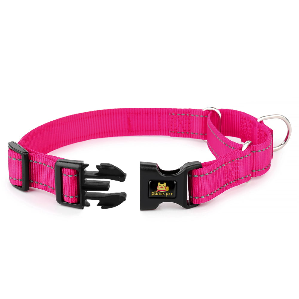 Plutus Pet Reflective Martingale Collar with Quick Snap Buckle