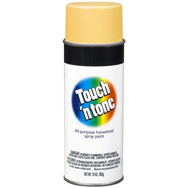 Rust-Oleum 10 oz Touch N Tone Gloss Black Spray Paint