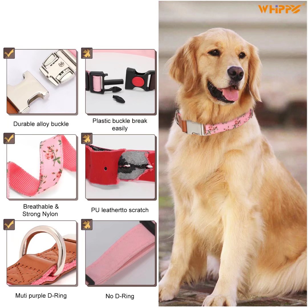 WHIPPY Dog Collar with Quick Release Buckle， Cute Girl Dog Collar for Small Medium Large Dogs