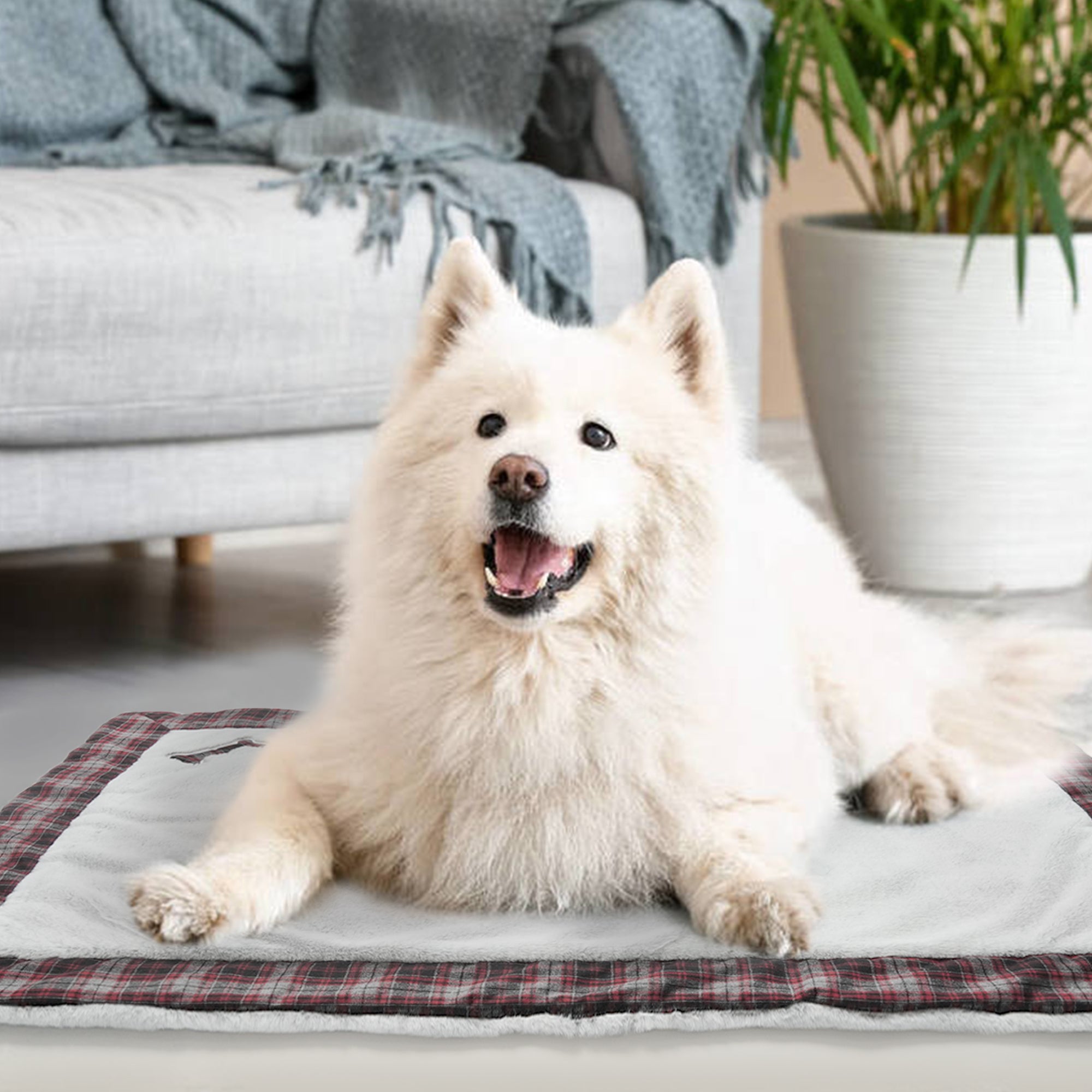 PUMYPOREITY Dog Bed Mat， Dog Crate Pad， Dog beds for Large Dogs Cats， Plush Pet Beds， Dog Kennel Pad， Super Soft， Washable