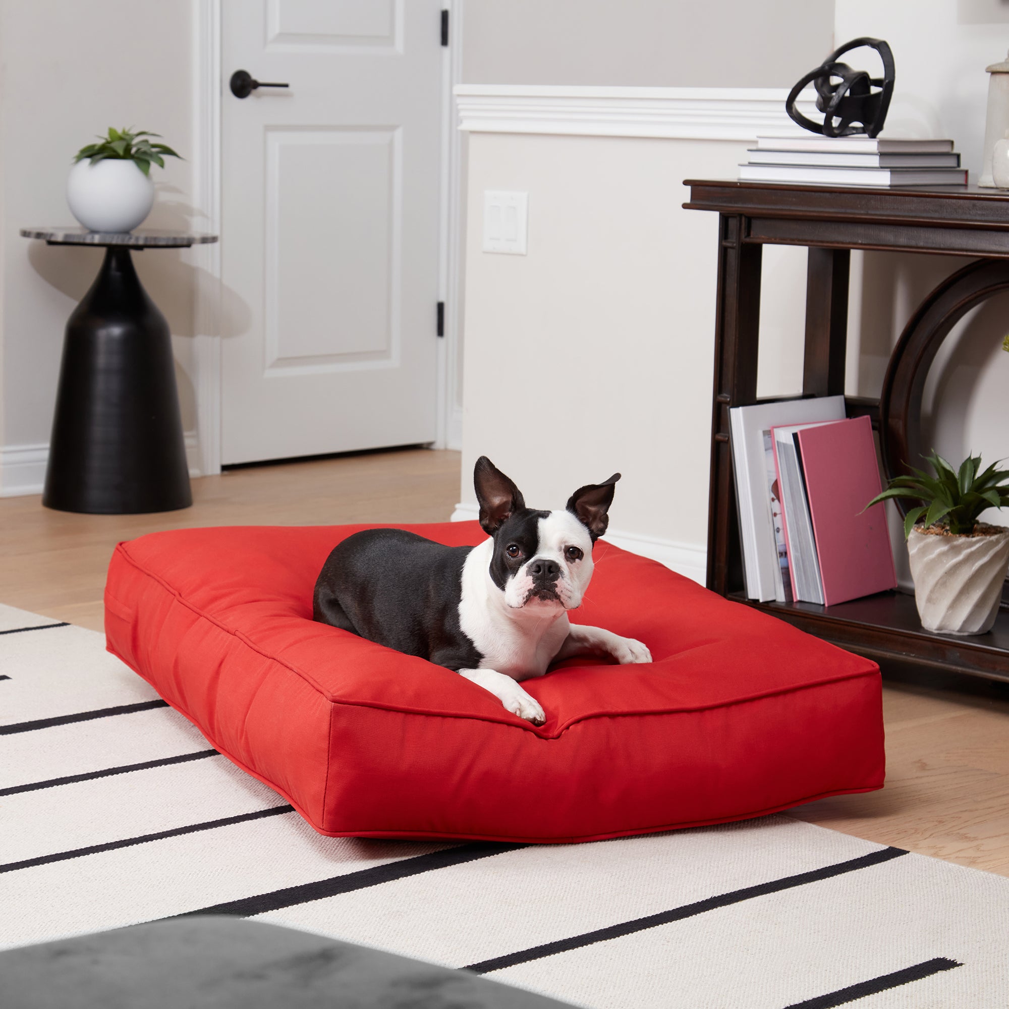 Happy Hounds Casey Indoor/Outdoor Pillow Style Dog Bed， Salsa， Medium (42 x 30 in.)