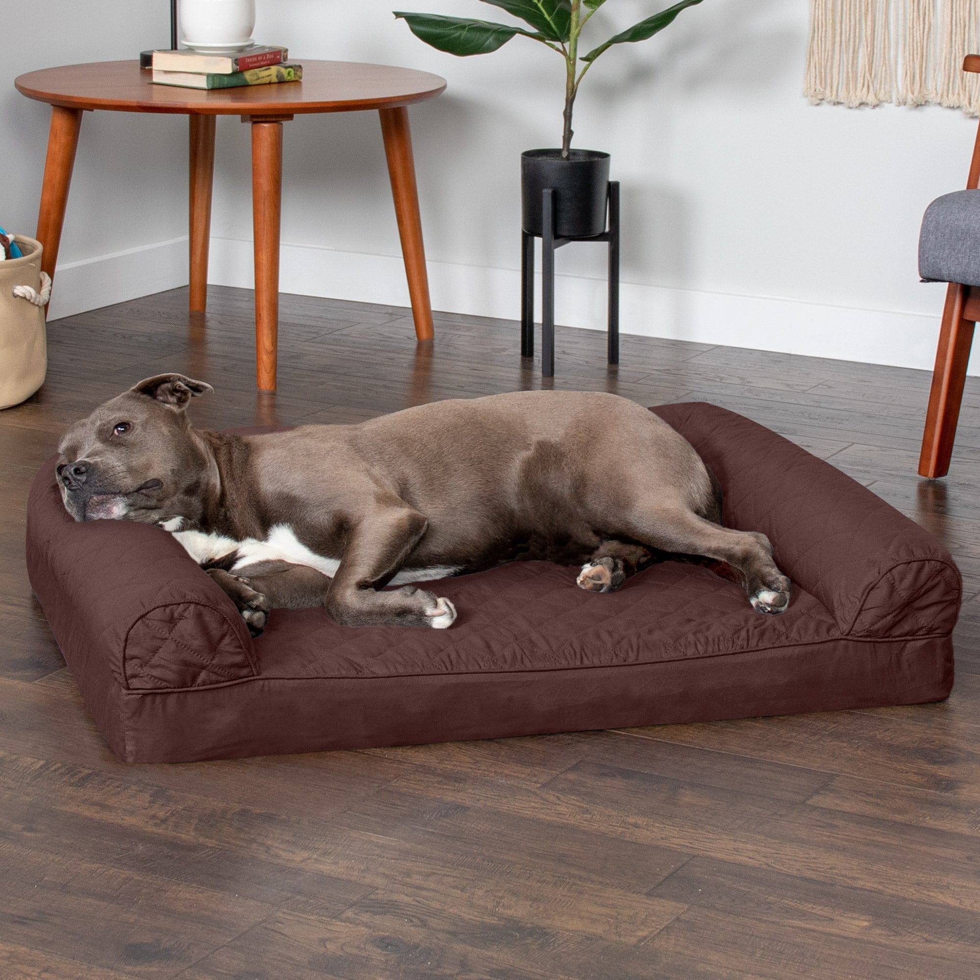 FurHaven | Orthopedic Quilted Sofa Pet Bed for Dogs and Cats， Coffee， Large