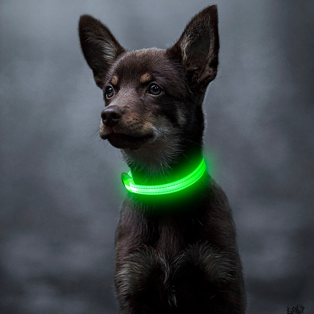 Bseen Small LED Dog Collar - USB Rechargeable Glowing Pet Collar for x-Small Dogsand Cats (Green)
