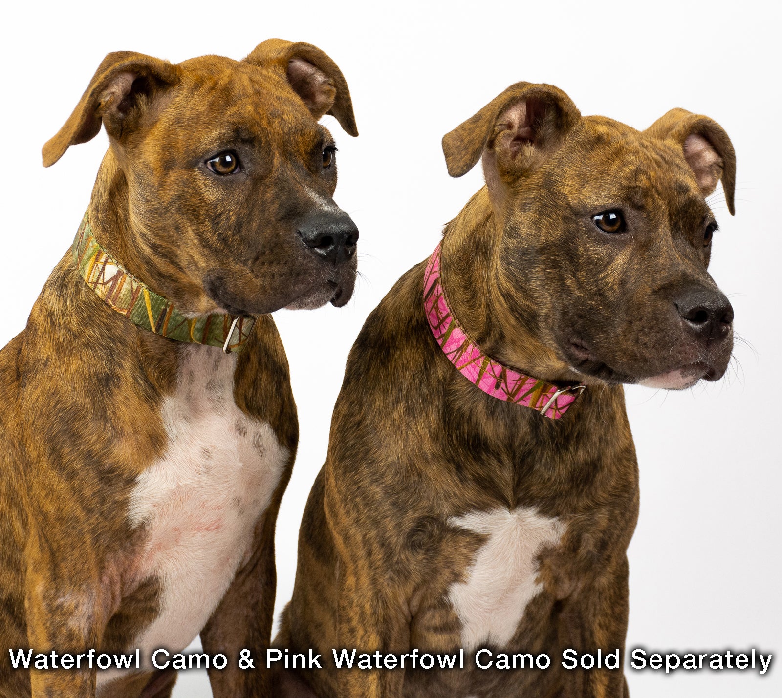 Country Brook Petz® Premium Pink Waterfowl Camo Dog Collar and Leash， Medium