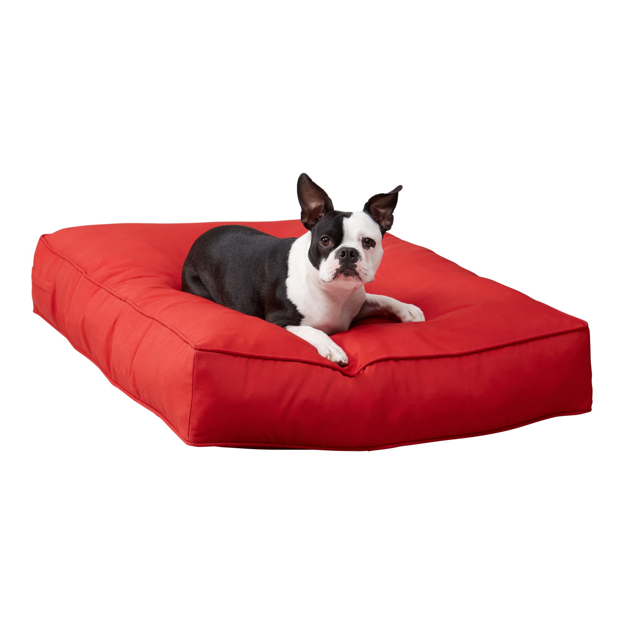 Happy Hounds Casey Indoor/Outdoor Pillow Style Dog Bed， Salsa， Medium (42 x 30 in.)